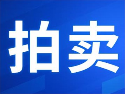 希爾得拍賣|衡東縣公共機(jī)構(gòu)屋頂光伏發(fā)電項(xiàng)目27年特許經(jīng)營權(quán)拍賣公告